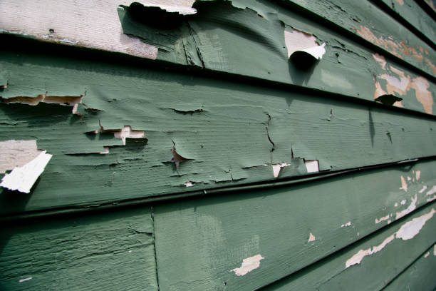 Best Siding for New Construction  in Big Lake, WA