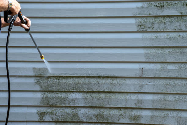 Best Insulated Siding Installation  in Big Lake, WA
