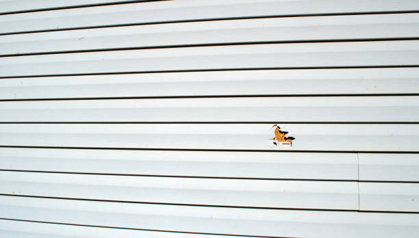 Best Weatherproofing and Sealing  in Big Lake, WA
